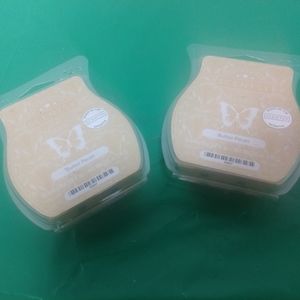 Butter Pecan Scentsy Bars